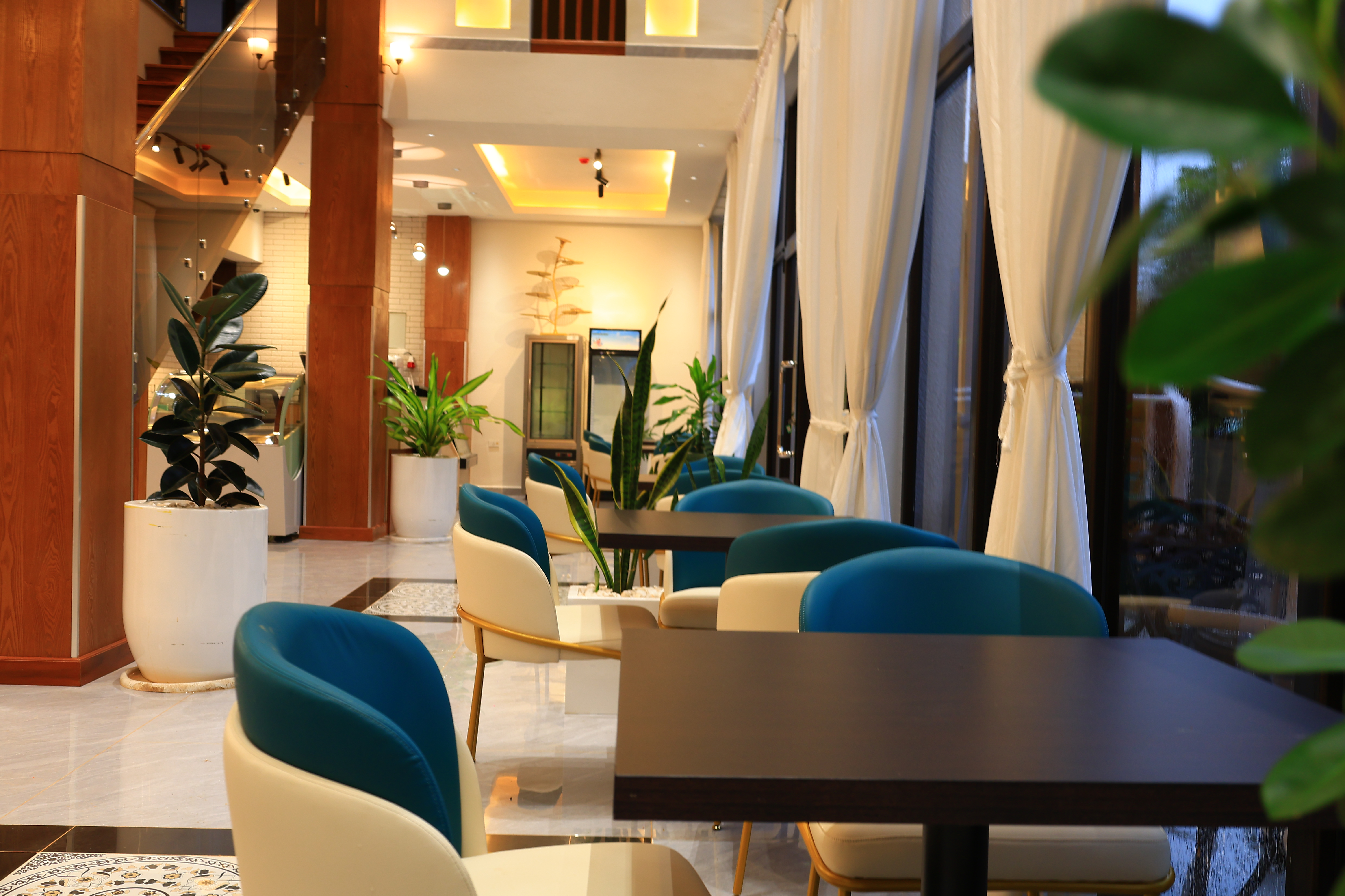 Grand Opening of Ayele Degu International Hotel Set for April 25, 2026 in Dilla